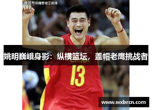 姚明巍峨身影：纵横篮坛，盖帽老鹰挑战者