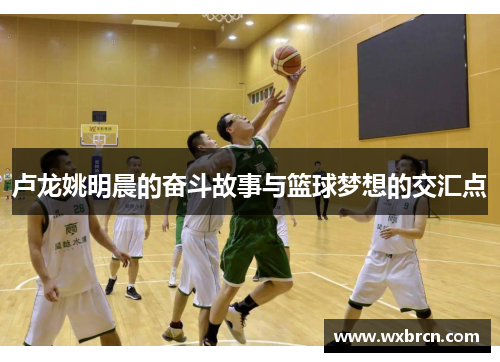 卢龙姚明晨的奋斗故事与篮球梦想的交汇点