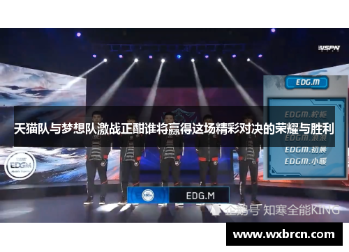 天猫队与梦想队激战正酣谁将赢得这场精彩对决的荣耀与胜利