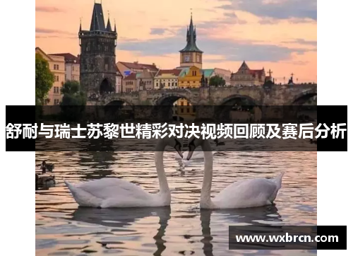 舒耐与瑞士苏黎世精彩对决视频回顾及赛后分析